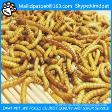 Wholesale Bulk Dried Mealworms for Pet Snacks Chicken Feed